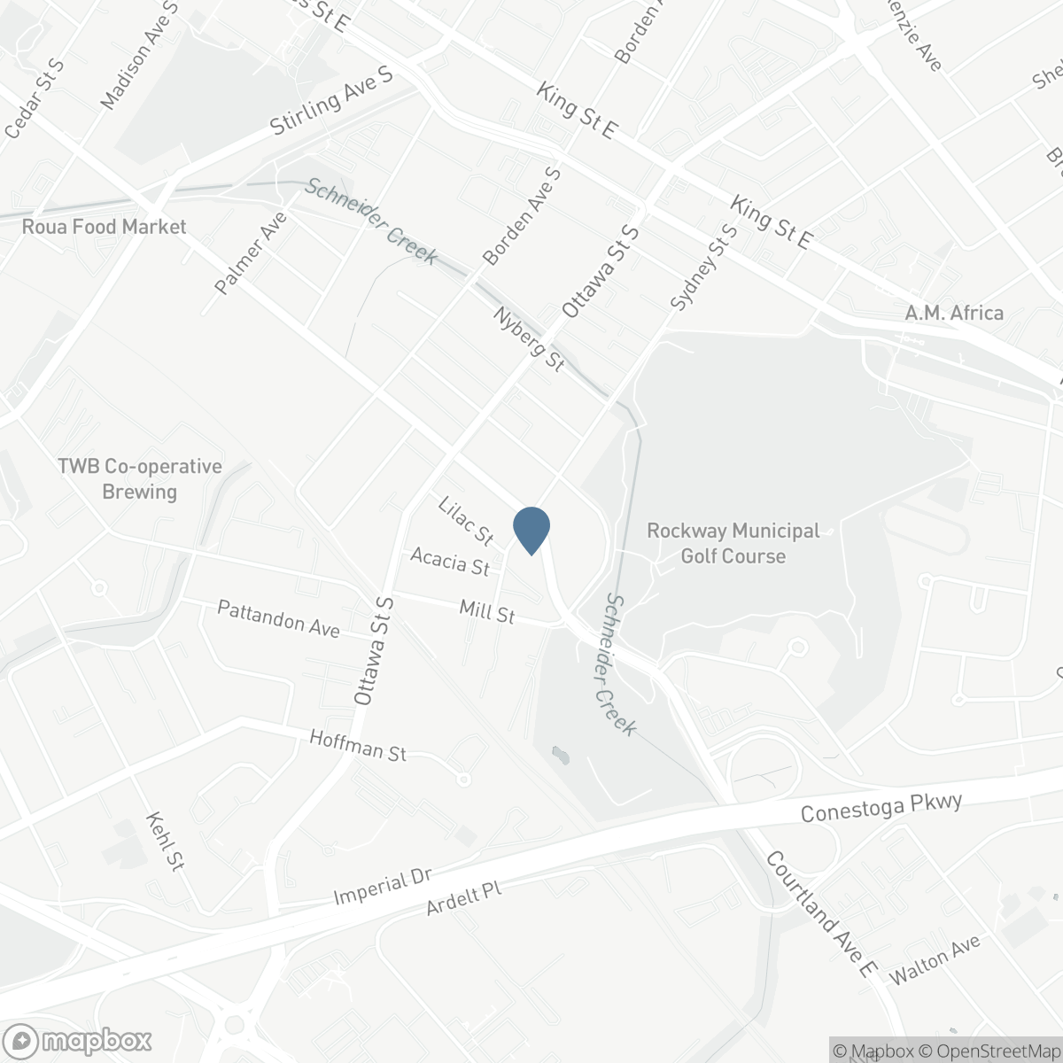 253 SYDNEY STREET S, Kitchener, Ontario N2G 3V8